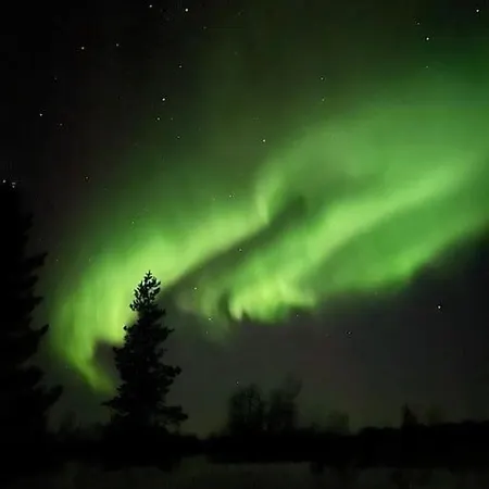 Moekki Luonnon Rauhassa Tervola